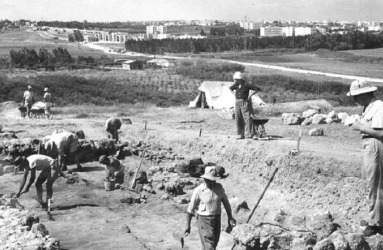 Archaeology Dig