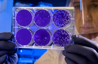Stock Image Microscope