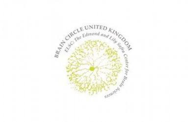 Brain Circle UK Flag