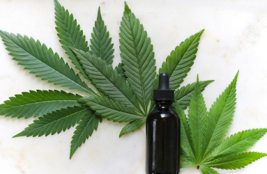 Cannabis and Oil Image