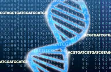 Genes Image