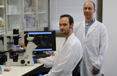 Karni & Colleagues