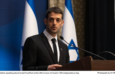 Nir Goldstein speaking at the United Nations