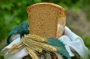 OptiWheat