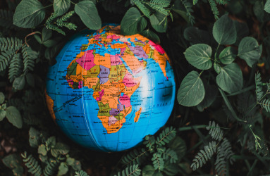 Think Global