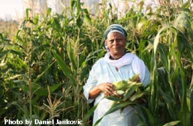 SS_SP_EthiopianFarmers Alt Text