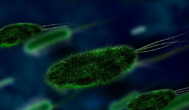 Cell Image