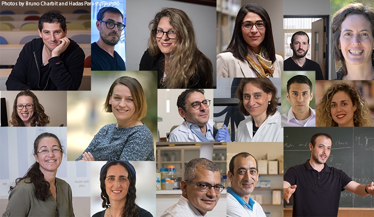 Young Faculty Image