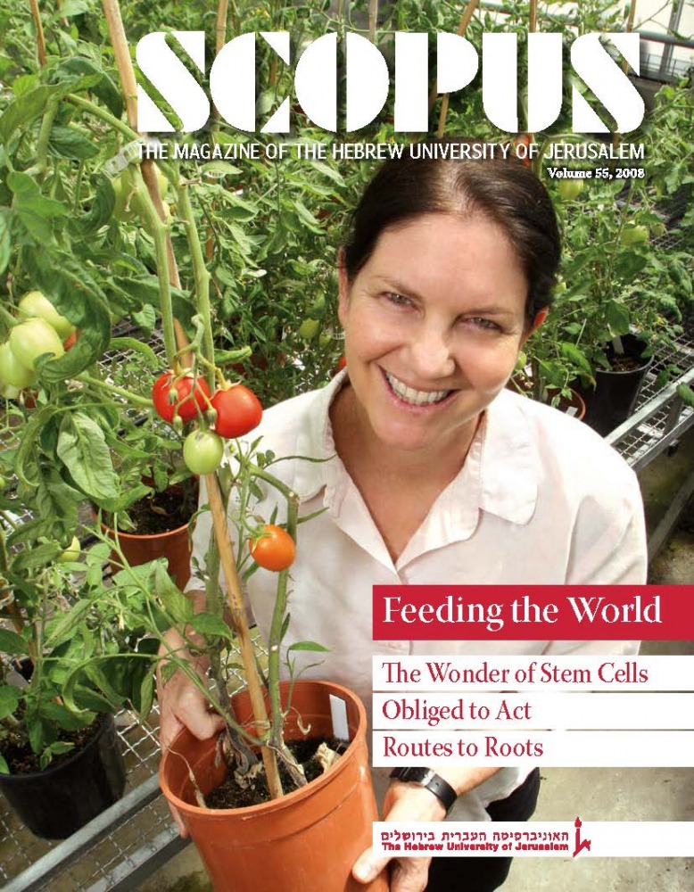 Scopus 2008