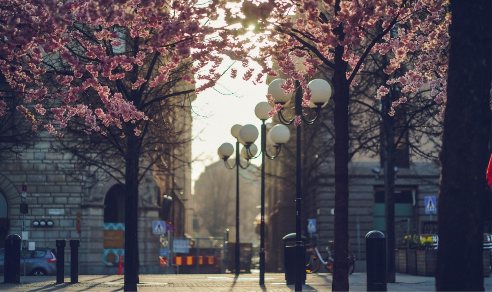 Smart Trees
