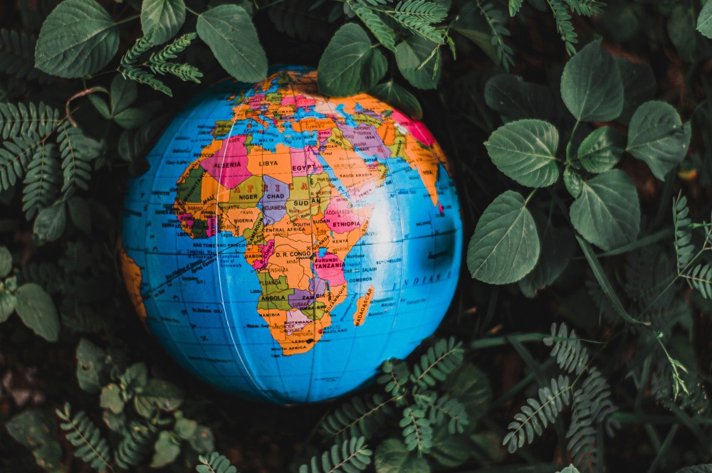 Think Global