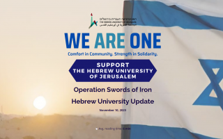 Operation Swords of Iron HU update