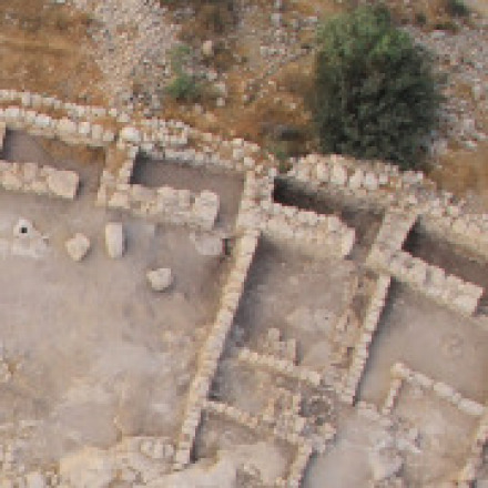 site