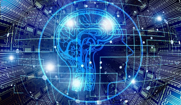 Brain Image
