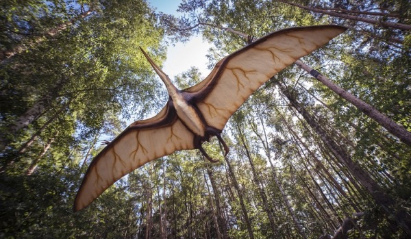 Dinosaur Flying