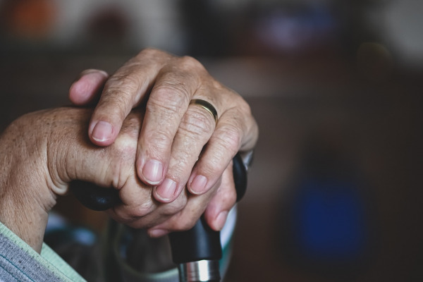 AMP Biosynthesis Key to Longevity and Metabolic Health in Vertebrates