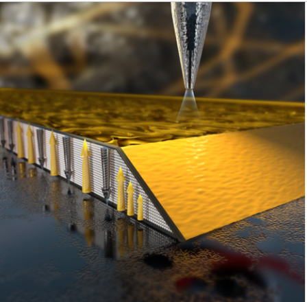 Edge Magnetism Illustration