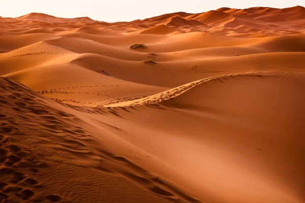 Desert Climate