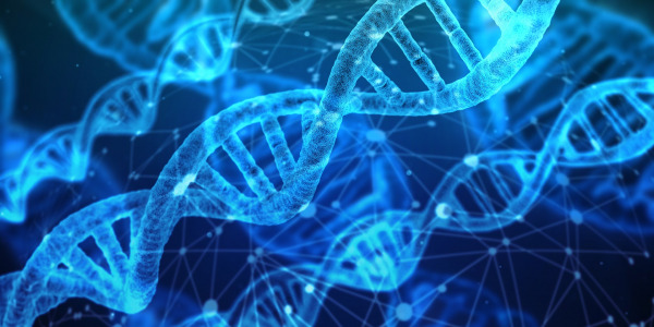Researchers Discover Underlying Molecular Mechanism Causing Pancreatic Cancer to Metastasize and Become Fatal dna