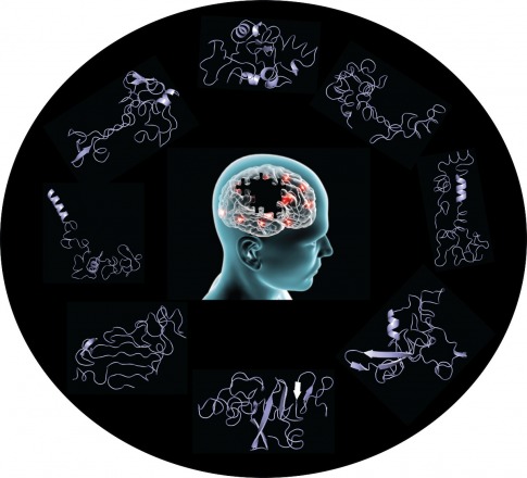 Protein Simulation, Experiments Unveil Clues on Origins of Parkinson’s Disease Protein