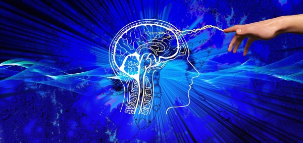 Brain Stock Photo