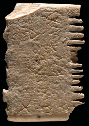 Credit: Dafna Gazit, Israel Antiquities Authority