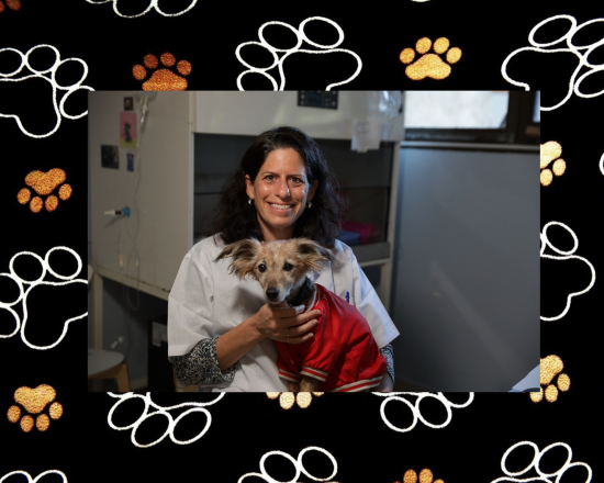 HUJI Bites: Dr. Gillian Dank: Animal Health with Heart Gillian Dank