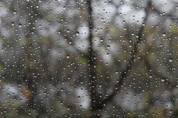 Rain on window