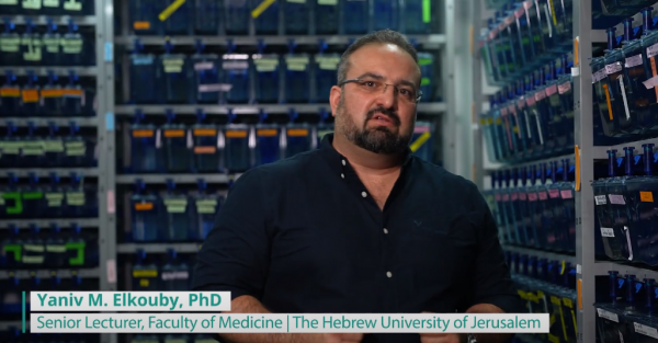 Yaniv Alkouby